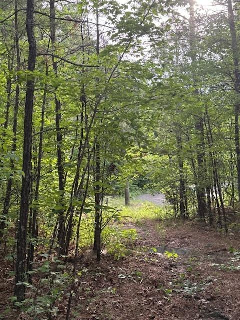 PRIVACY at it’s best, come build your private estate on this beautiful 2.38 acre lot right off of Hwy 61 and in the sought after North Paulding High School District. Live among the wildlife that also includes a creek along the back side of the property. Very convenient to family amenities like Burnt Hickory Park, Lake Point Sports Complex, and downtown Dallas. The city of Cartersville is also a short drive away with tons of shopping, entertainment and restaurants. Tract is gently rolling and would be a great basement lot. There are already several high-end estates along Narroway Trail, no HOA, and did I say how very private this Tract is? Narroway Church Spur road will be completed for ingress/egress off of Narroway Church Road once there are plans to develop any of the several tracts on this county road. NOTE: Buyer is responsible for conducting survey, soil test, perc test and to verify any concerns with the county. If you want to build, please verify needed information from the county. The new water reservoir is nearby, so water hook up might possibly be available now or in the near future.