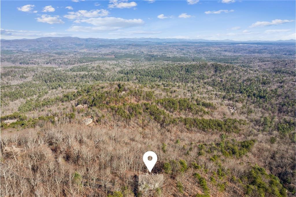 64 Wild Turkey Bluff, Jasper, Georgia image 6