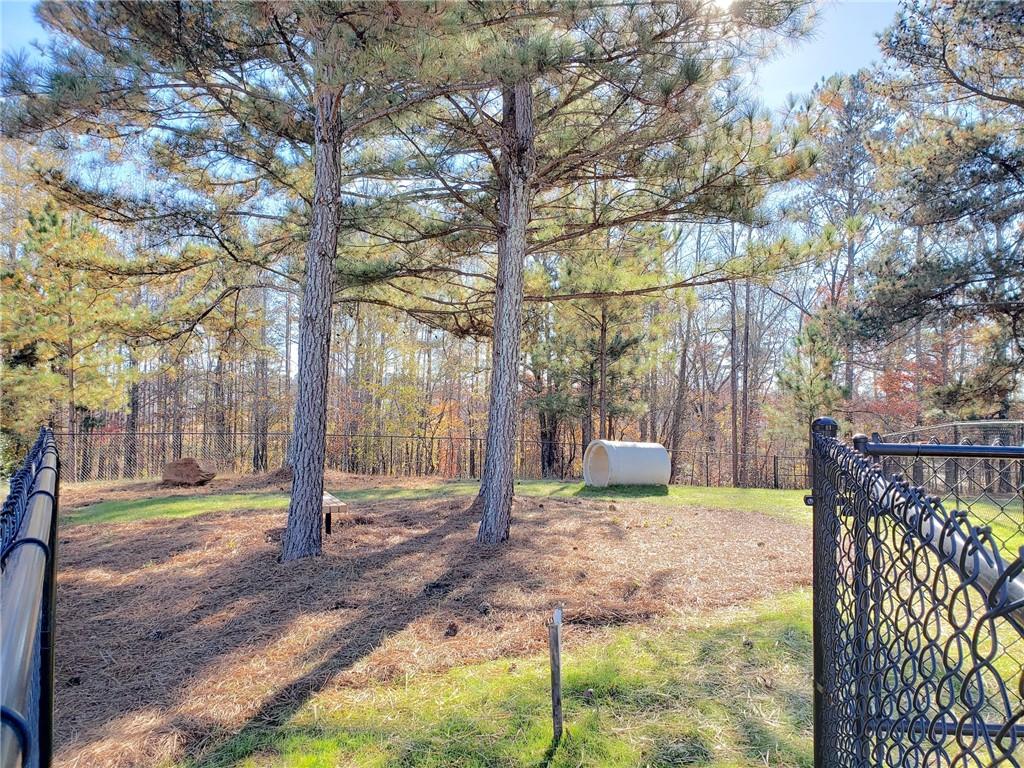 419 Great Salt Lane - Lot 2789 Ln, Hoschton, Georgia image 37