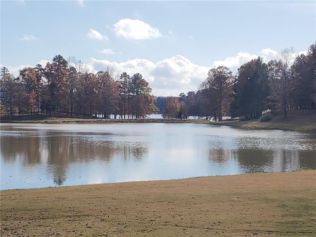 419 Great Salt Lane - Lot 2789 Ln, Hoschton, Georgia image 28