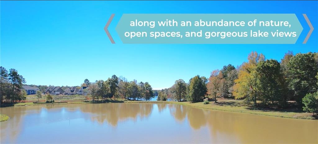 419 Great Salt Lane - Lot 2789 Ln, Hoschton, Georgia image 42