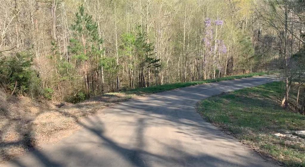 187 Old Jones Mountain Road, Talking Rock, Georgia image 9