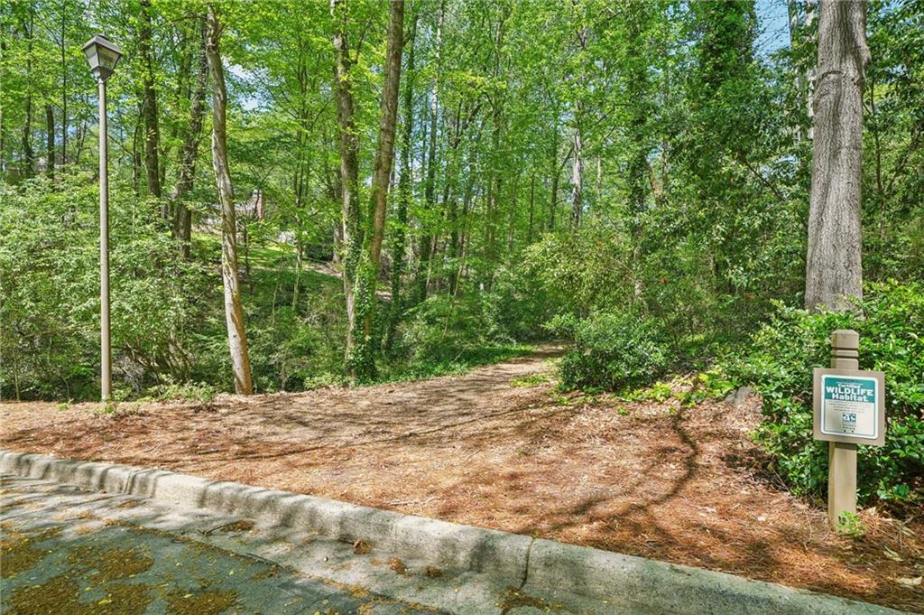 171 Riverview Trail, Roswell, Georgia image 46