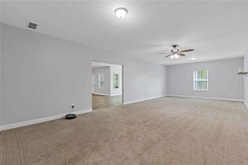 321 Mcmillian Court, Winder, Georgia image 39