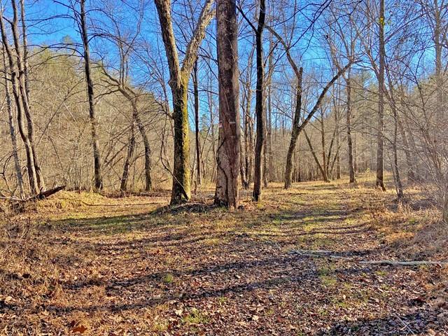 191+/- Acres Off Hwy. 136, Dawsonville, Georgia image 44