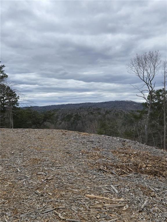 Discover 3.51 acres of mountain serenity in Creekside Crossing, Talking Rock! This beautiful lot offers breathtaking mountain views, making it the perfect setting for your dream retreat. As part of the Creekside
Crossing community, you'll enjoy access to UTV trails, pavilions with firepits, and a stunning infinity pool with panoramic mountain vistas. Plus, the community offers direct access to Talking Rock Creek, ideal for fishing, kayaking, or simply unwinding by
the water. Embrace the best of mountain living with this scenic and adventure-filled property!