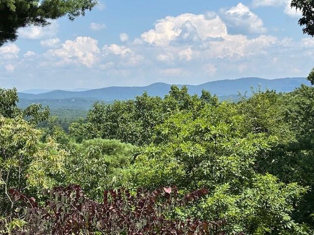 44 Sassafras Ridge