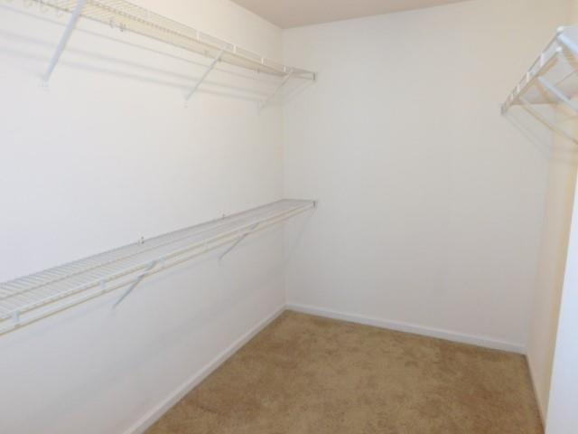 Whittington - Residential Lease