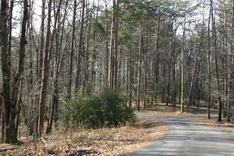 Vacant Land For Sale - 1211 Oglethorpe Mountain Court<br/> Jasper, GA 30143