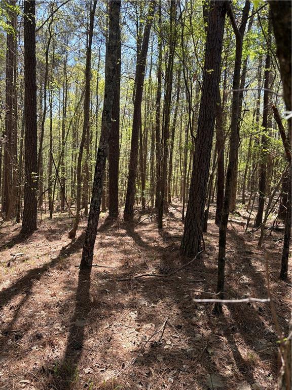 N/A Old Union Point Road