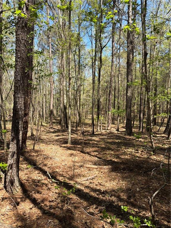 N/A Old Union Point Road