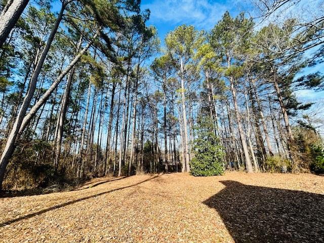 170 Amicalola Way, Jonesboro, Georgia image 32