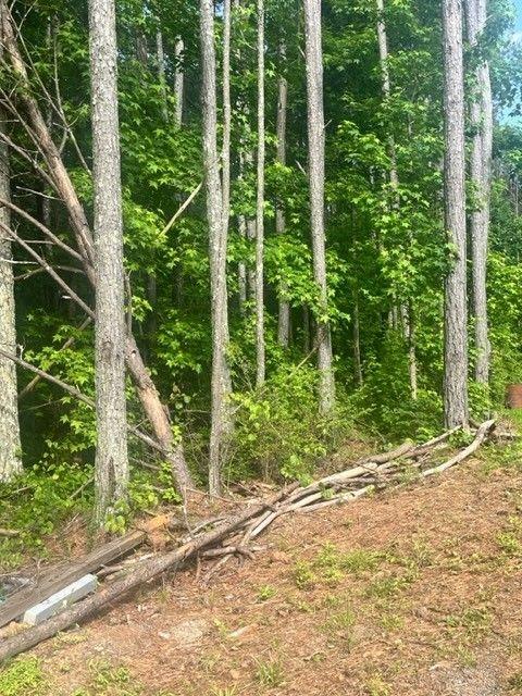 Watts Road, Hiram, Georgia image 5