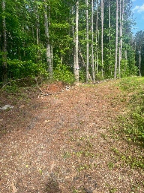 Watts Road, Hiram, Georgia image 6