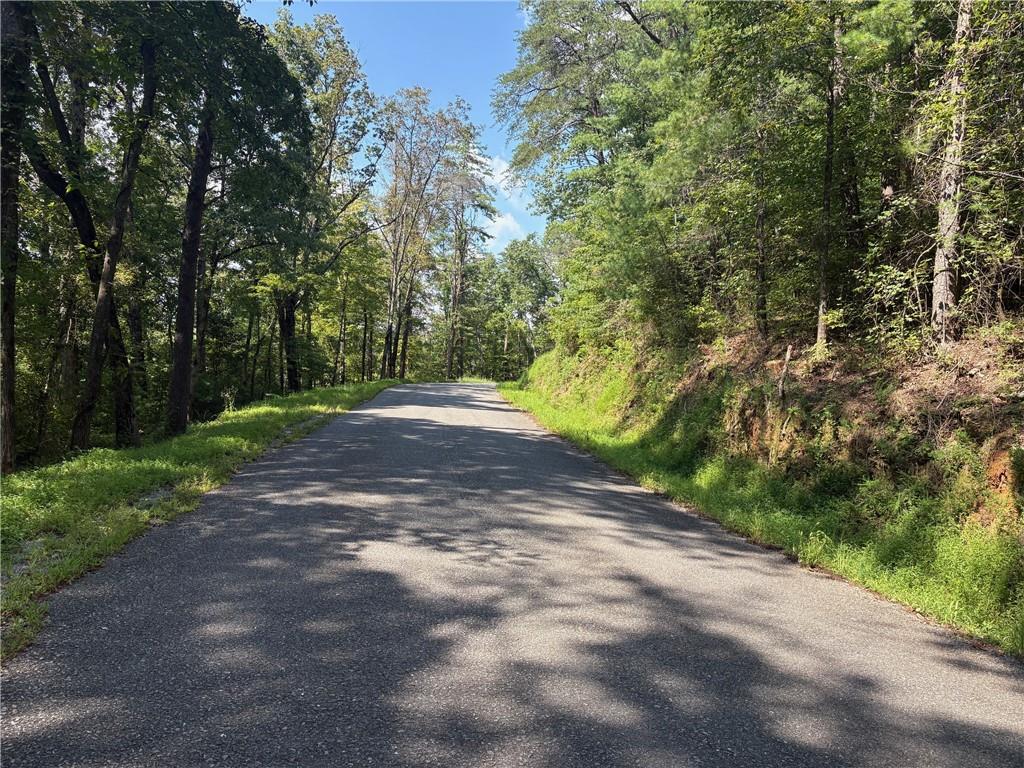 Great little tract NEAR THE AIRPORT! Attention all you recreational PIOLETS! Build yourself a small cabin and be Very near the AIRPORT. Wouldn't it be nice to fly-in and not worry about a place to stay . Imagine flying into beautiful JASPER Ga. and entertaining friends at your very own MOUNTAIN RETREAT sitting atop a nice ridge overlooking the Burnt Mountain Range, the Airport and the city of Jasper. This is an unrestricted parcel !l NO restrictions on what you build or size. Get brave , build a tree house, container home , tiny home or a Mansion ! There are NO restrictions !! Mobile homes are allowed. In the winter season you just might have a view of Padgett Falls.