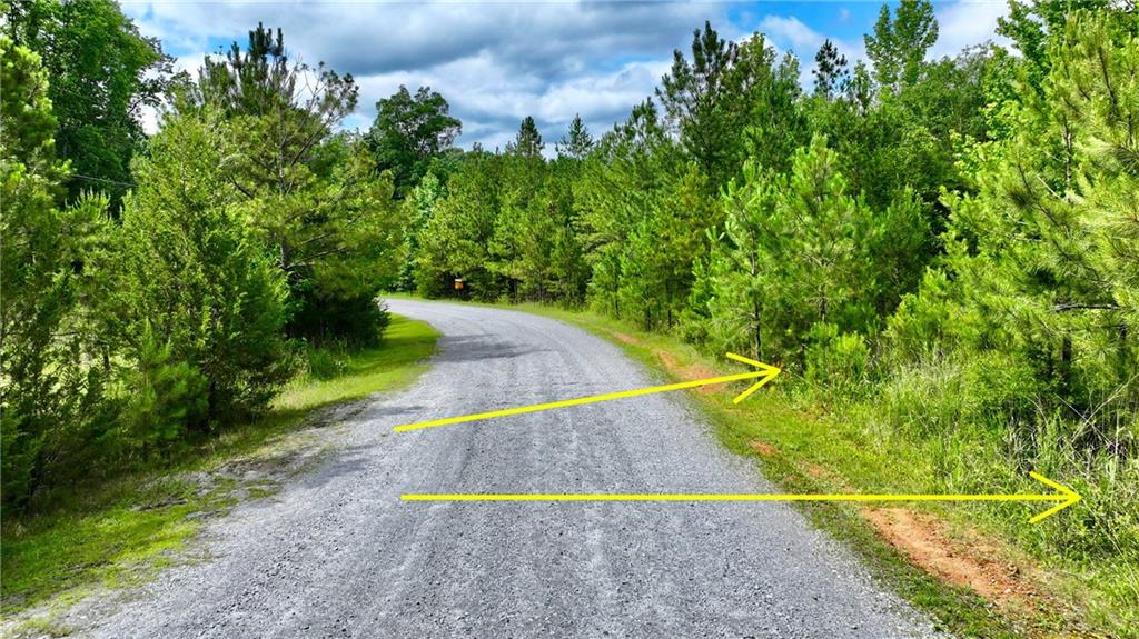 Millstone Creek Road, Elberton, Georgia image 22
