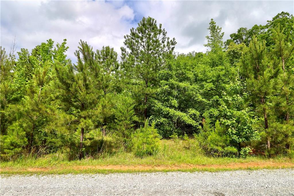 Millstone Creek Road, Elberton, Georgia image 31