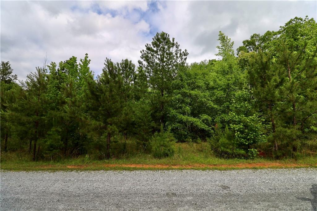 Millstone Creek Road, Elberton, Georgia image 29