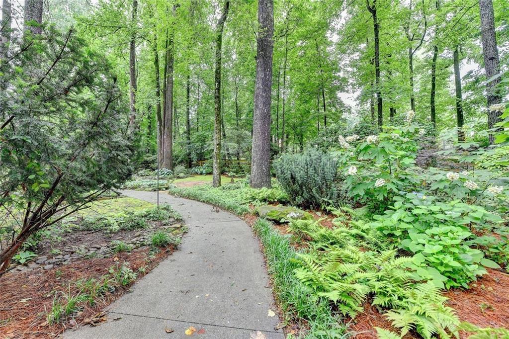 5507 Martina Way, Dunwoody, Georgia image 41