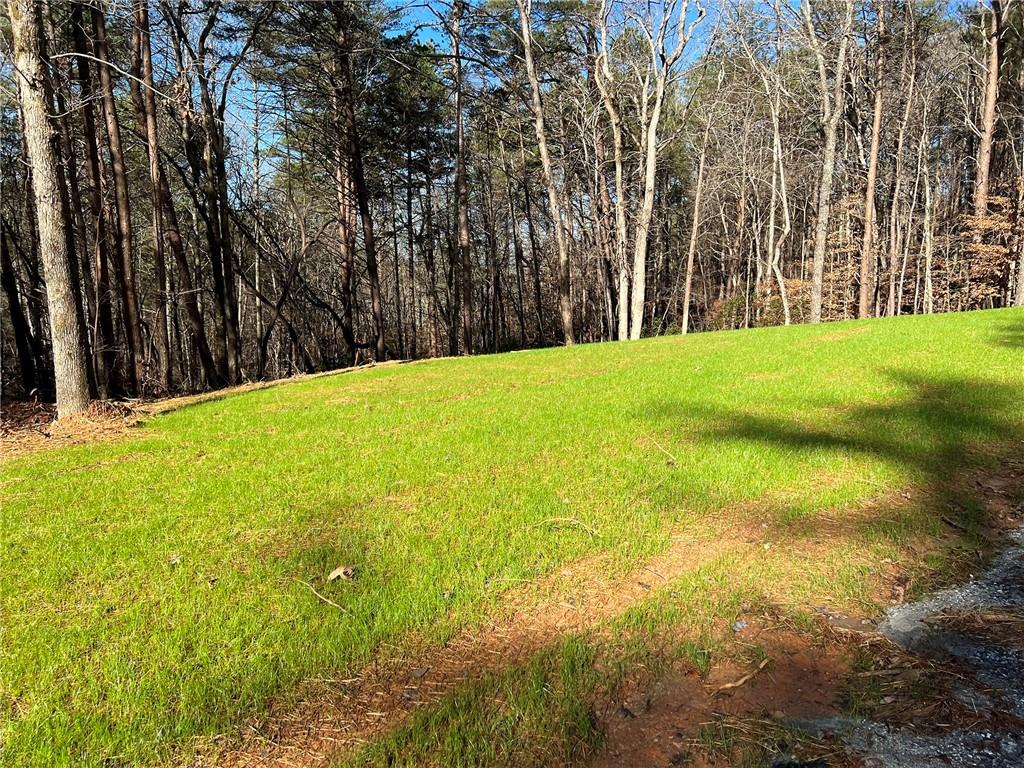 Lot 15 Mineral Springs Road, Ball Ground, Georgia image 2