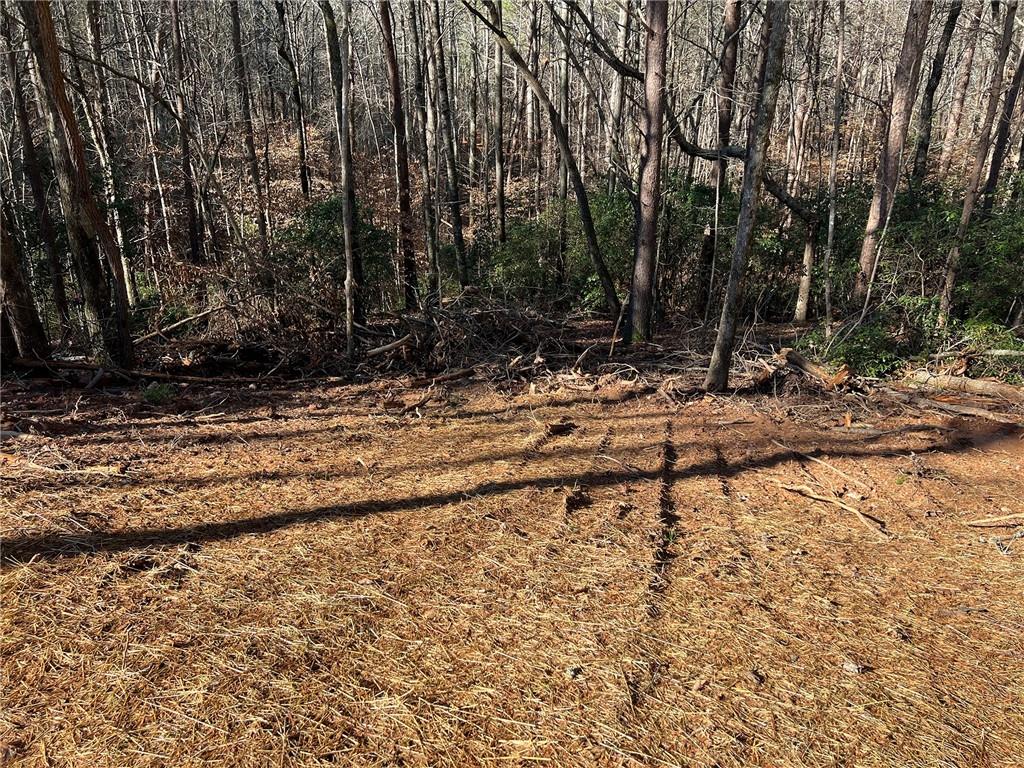 Lot 15 Mineral Springs Road, Ball Ground, Georgia image 4