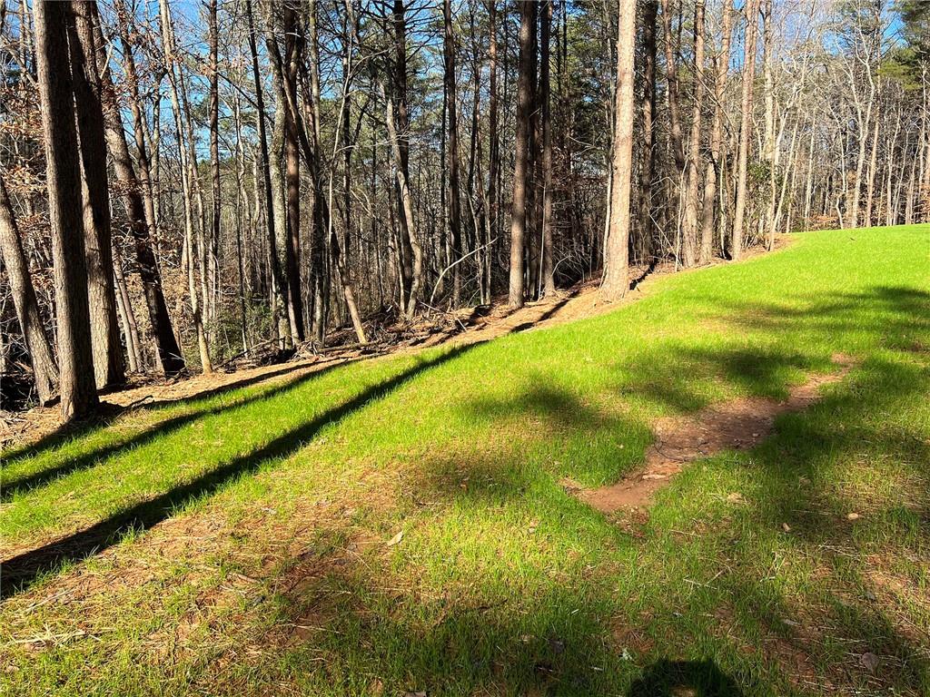 Lot 15 Mineral Springs Road, Ball Ground, Georgia image 1