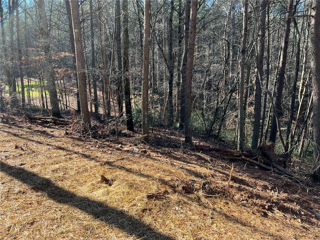 Lot 15 Mineral Springs Road, Ball Ground, Georgia image 5