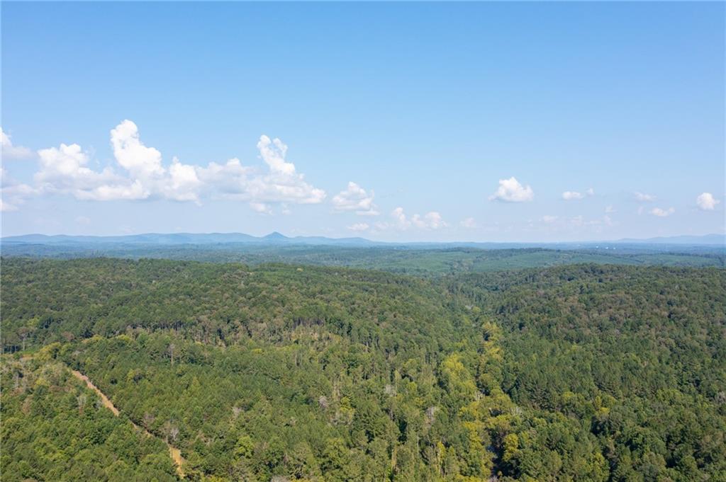 Lot 15 Mineral Springs Road, Ball Ground, Georgia image 11