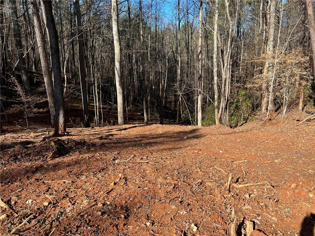 Lot 15 Mineral Springs Road, Ball Ground, Georgia image 8