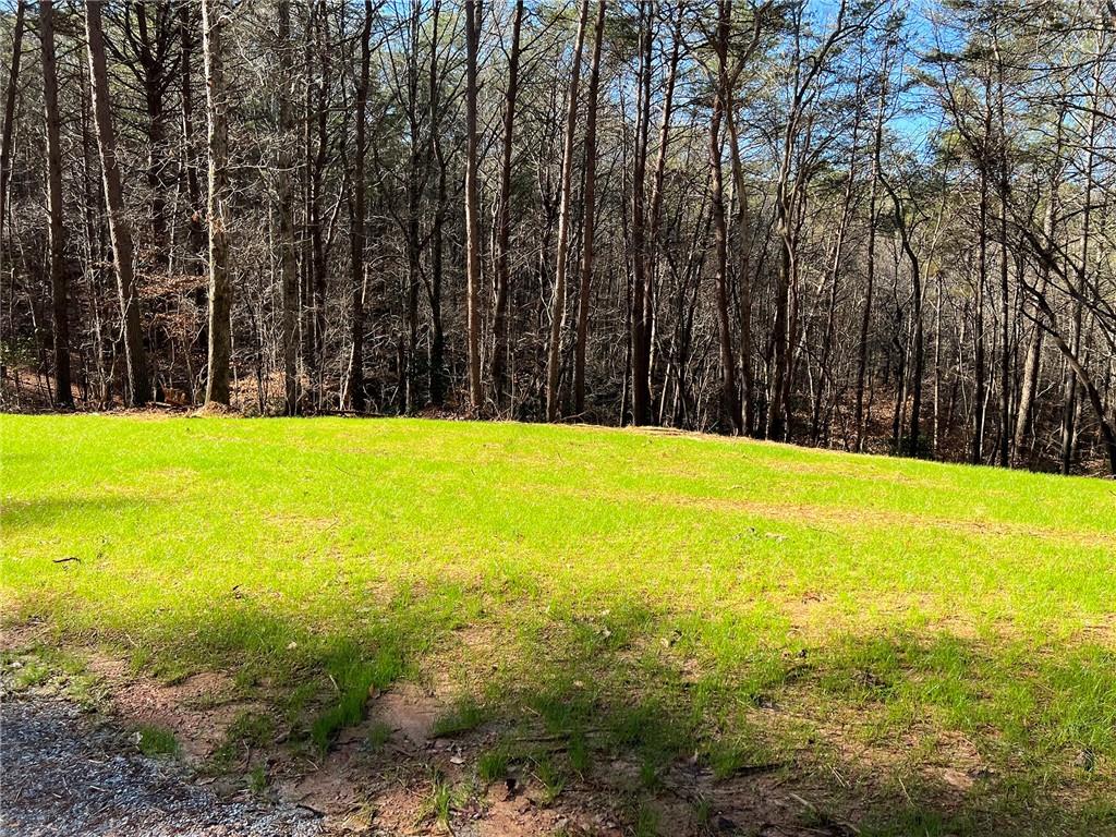 Lot 15 Mineral Springs Road, Ball Ground, Georgia image 3