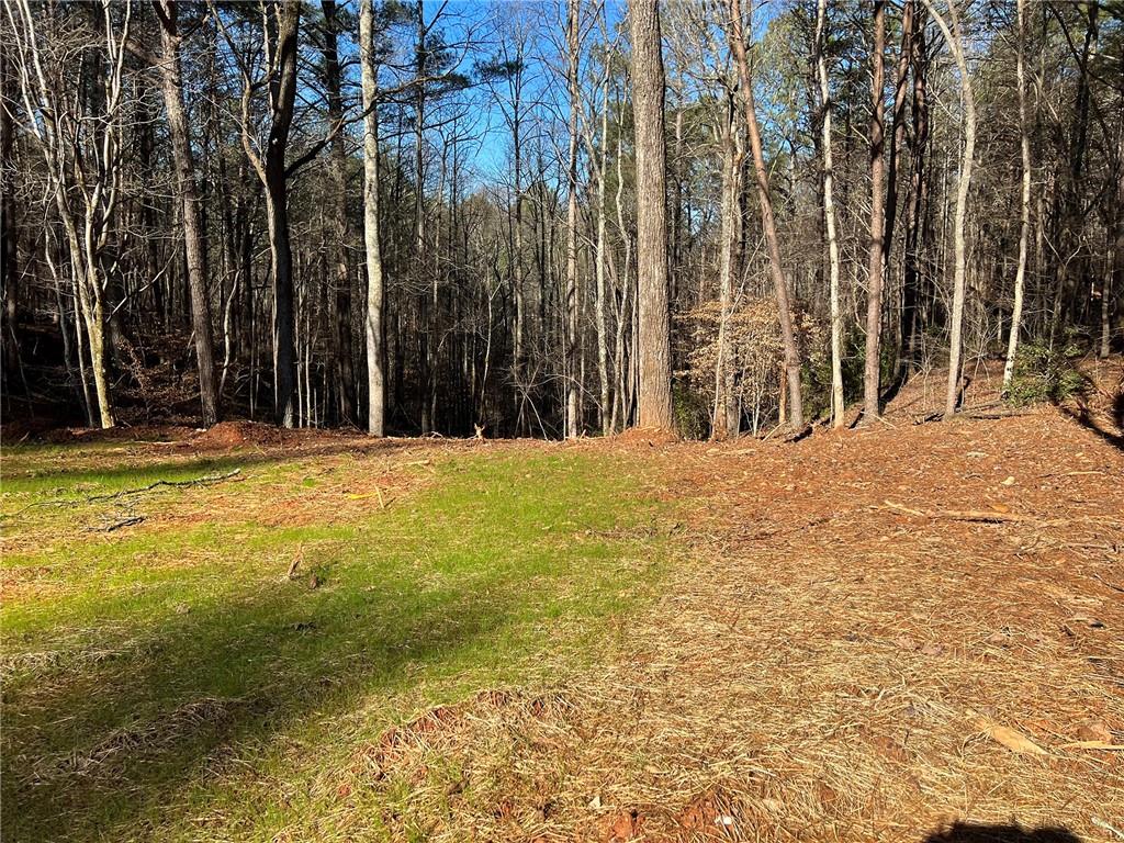 Lot 15 Mineral Springs Road, Ball Ground, Georgia image 7