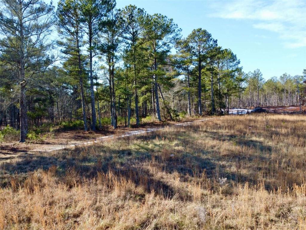 Haynes Creek, Rome, Georgia image 4