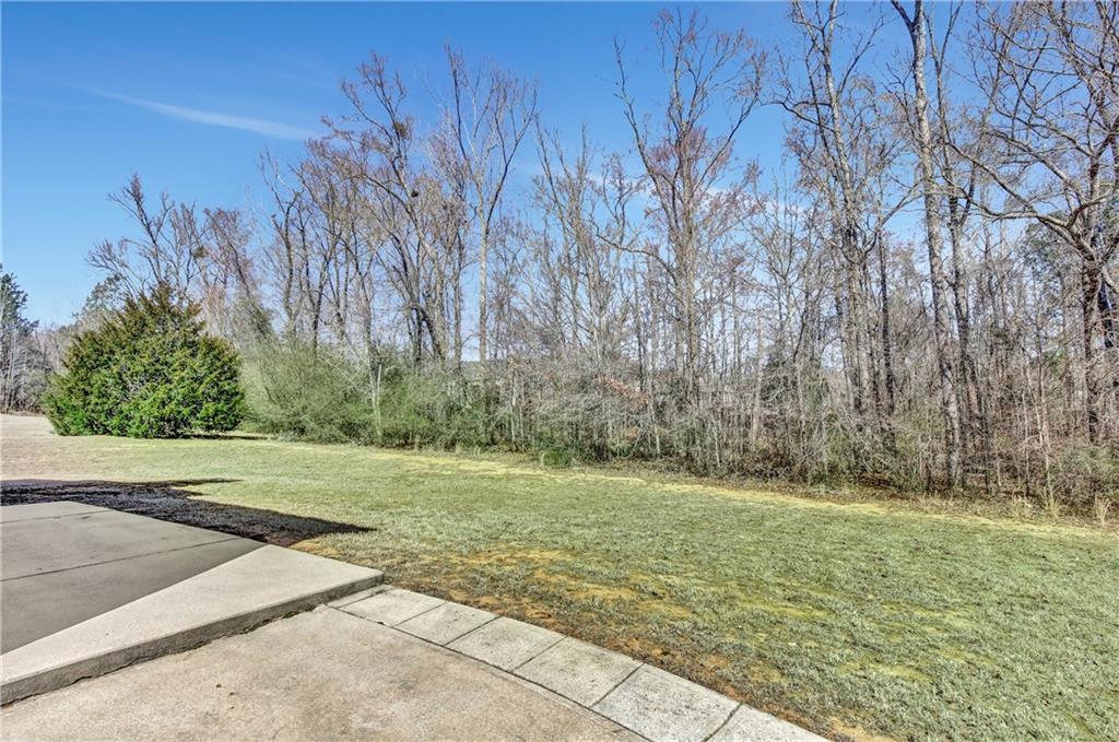 30 Barbara Court, Fayetteville, Georgia image 49
