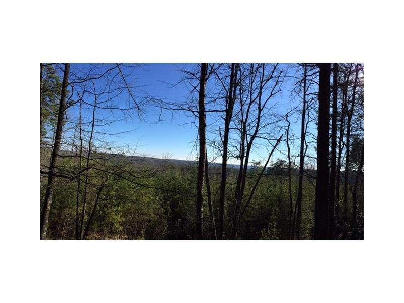 Placer Mining Road, Dahlonega, Georgia image 4