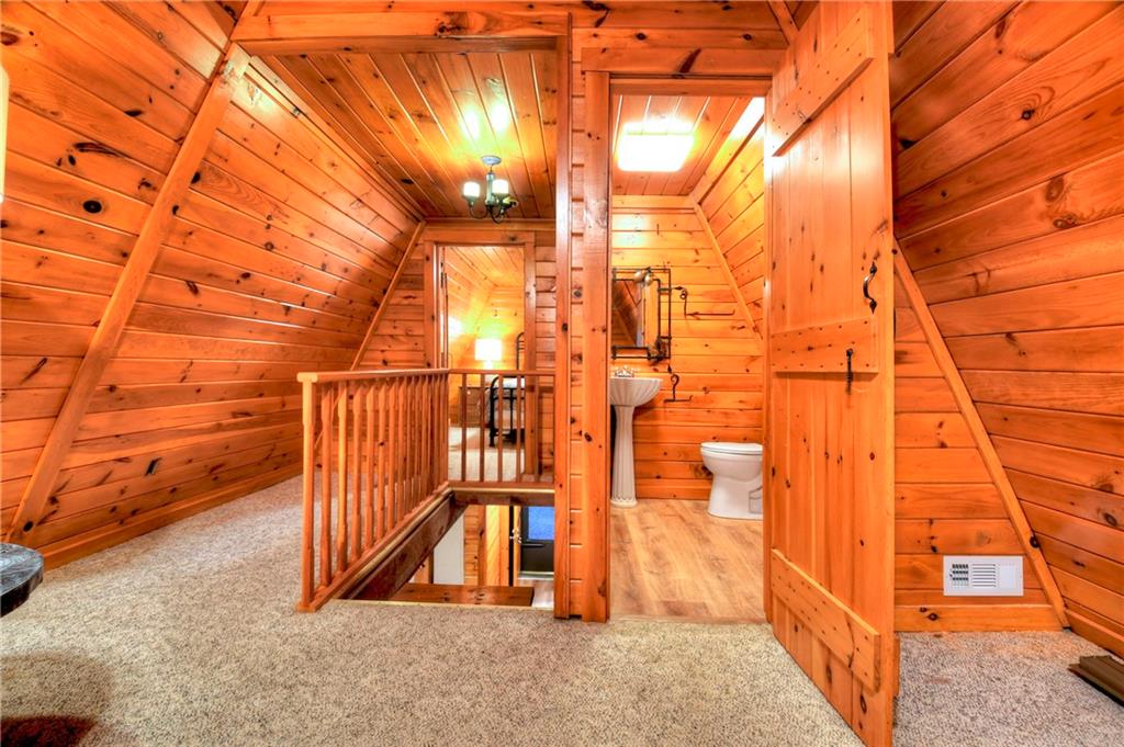 61 Woodstock Drive, Blue Ridge, Georgia image 27