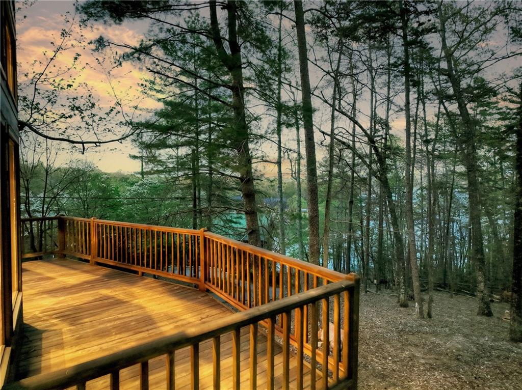 61 Woodstock Drive, Blue Ridge, Georgia image 35
