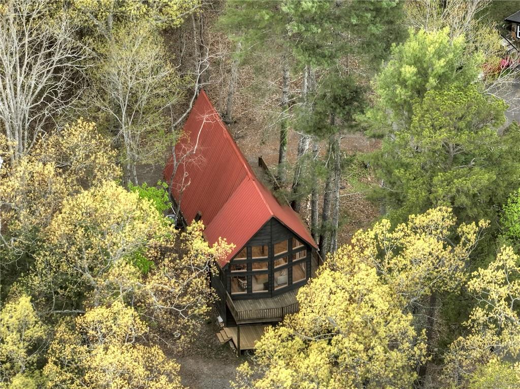 61 Woodstock Drive, Blue Ridge, Georgia image 46