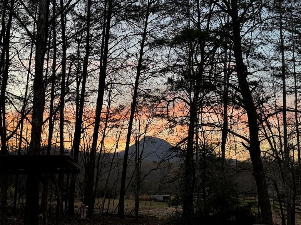 218 Cedar Hollow Road