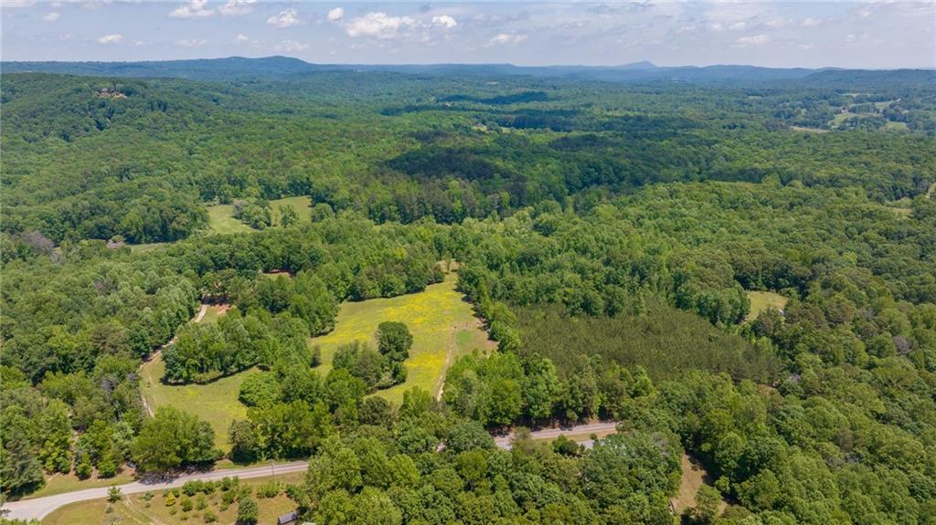 1780 Wynn Lake Road, Alto, Georgia image 42