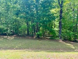 1780 Wynn Lake Road, Alto, Georgia image 15