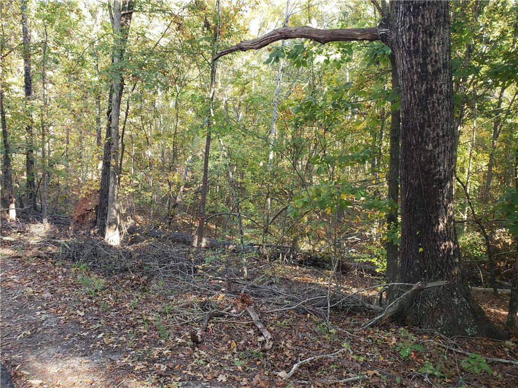 000 Lula Payne Trail, Ball Ground, Georgia image 3