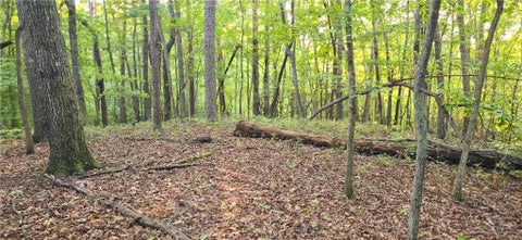 Vacant Land For Sale - Seye Wailo Trail<br/> Clarkesville, GA 30523