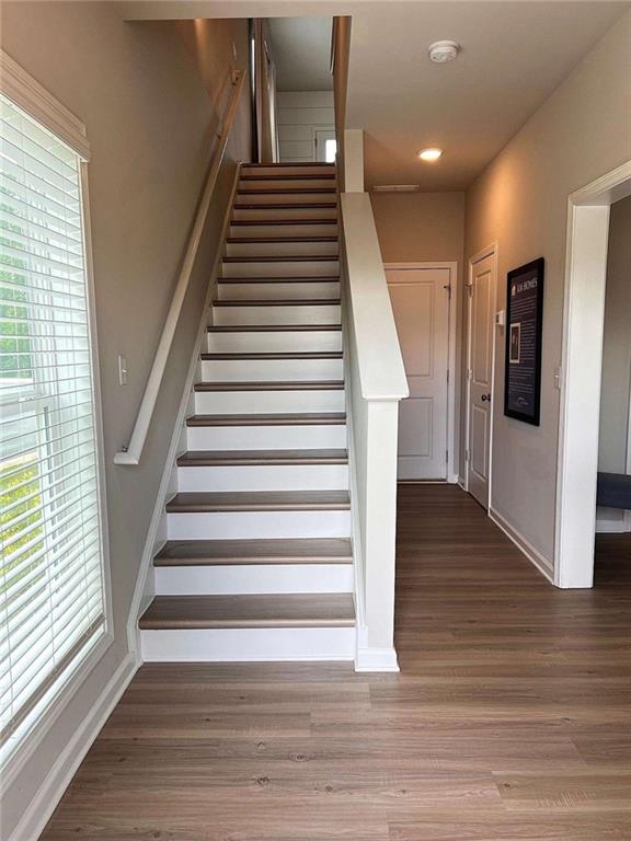 35 Cobalt Lane