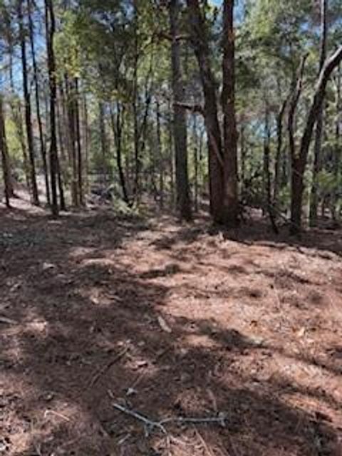 4795 Truman Mountain Gainesville GA 30506