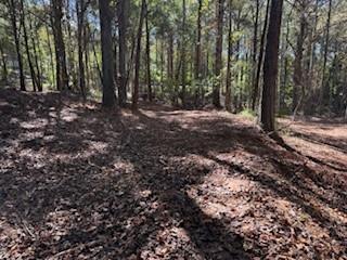 4795 Truman Mountain