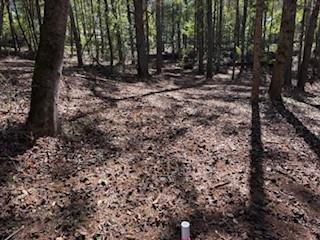 4795 Truman Mountain