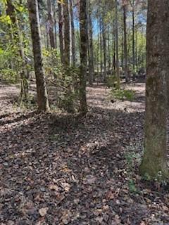 4795 Truman Mountain