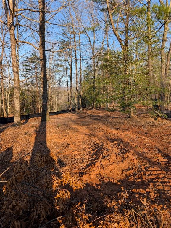 Yahoola Road, Dahlonega, Georgia image 4