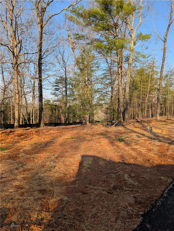 Yahoola Road, Dahlonega, Georgia image 3