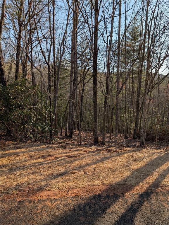 Yahoola Road, Dahlonega, Georgia image 7